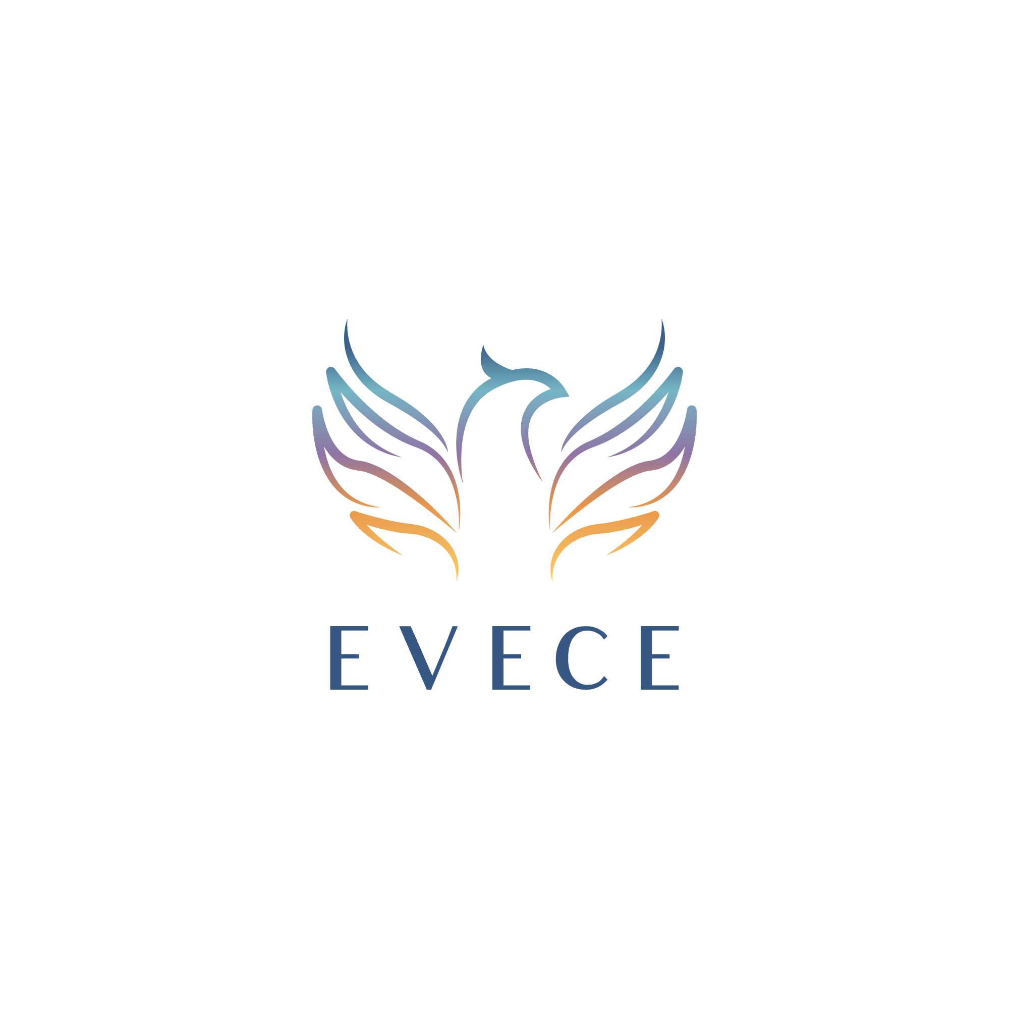 Writer: EVECE Foundation