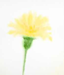 Modesty, Watercolour on Cotton Rag, 53cm x 45.5cm, Yukiko Abe-Kruithof, 2024