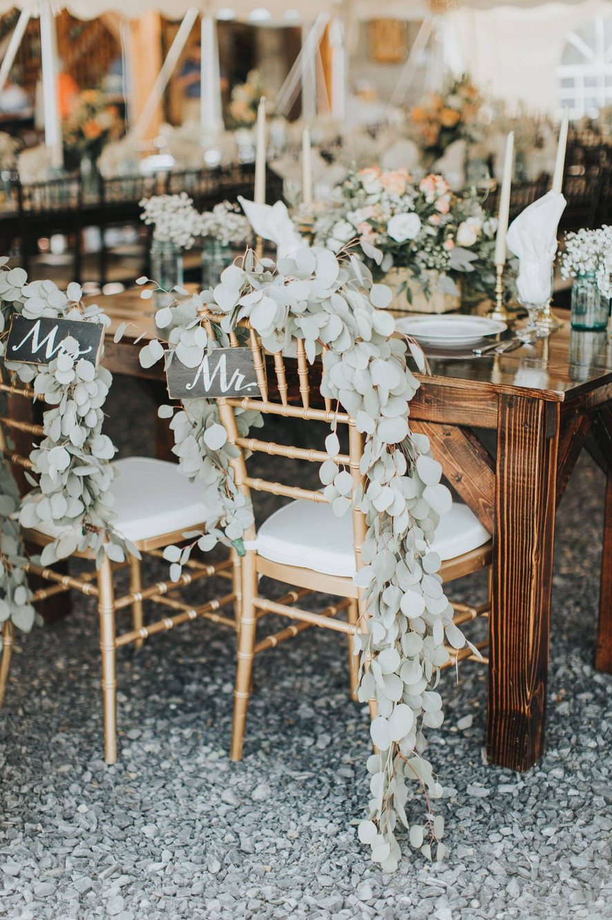 Chiavari chair rental $3 store