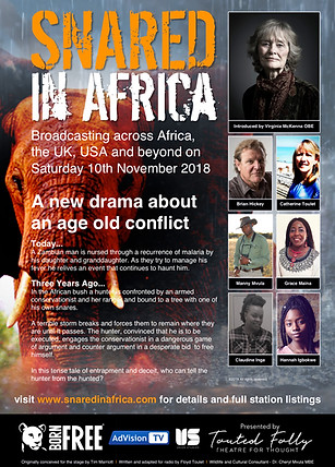 SNARED in Africa Poster.jpeg