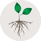ICESD Logo.png