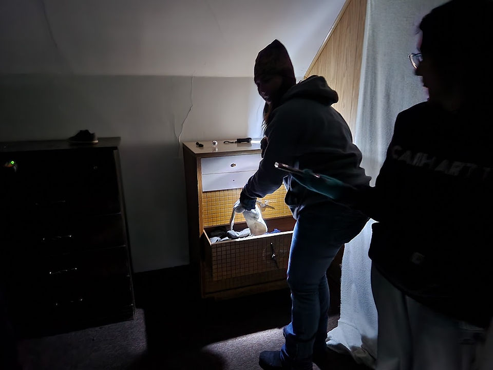 Beth going through the dresser
