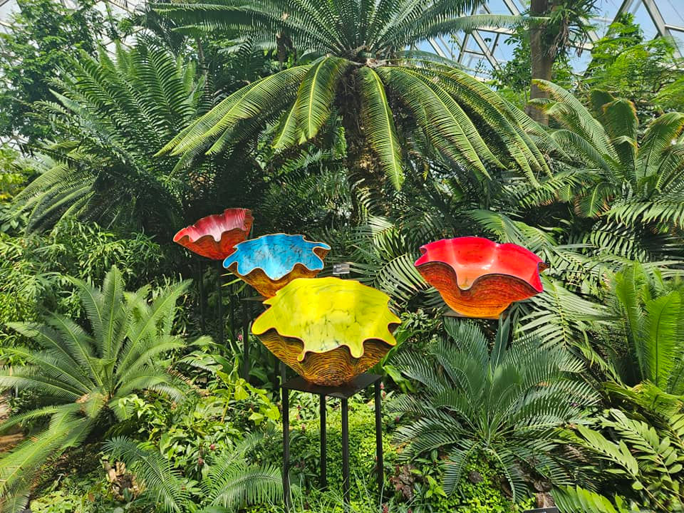 Chihuly Artwork 
