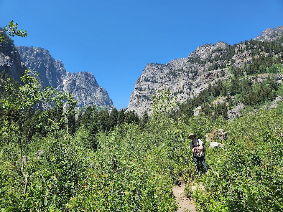 Death Canyon