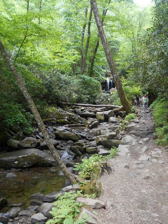 Trail and the falls