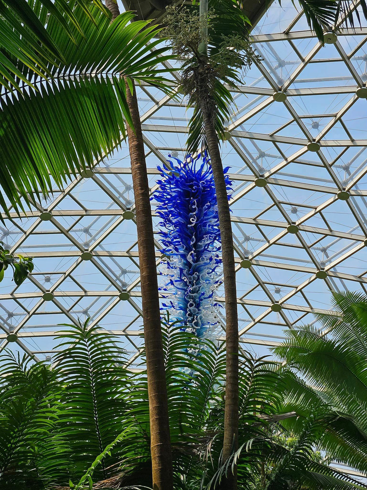 Chihuly Artwork 