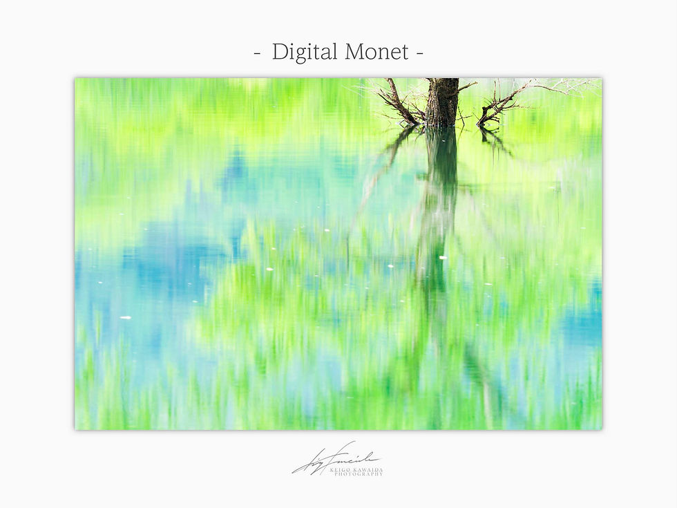 サムネイル： 「Digital Monet」A2フォトアクリル｜PX3受賞作