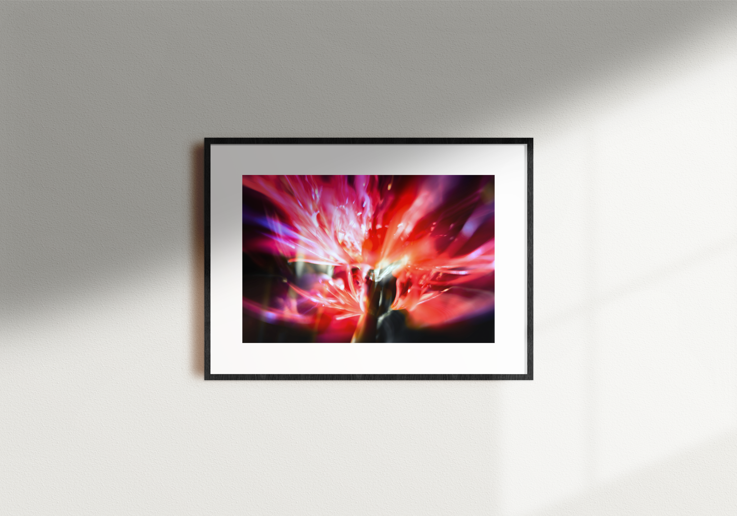 「Passion」額装｜小坂 孝寛