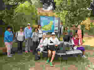 21 Mar 2019 - Matakohe Limestone Island
