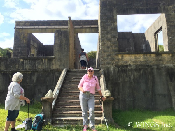 21 Mar 2019 - Matakohe Limestone Island
