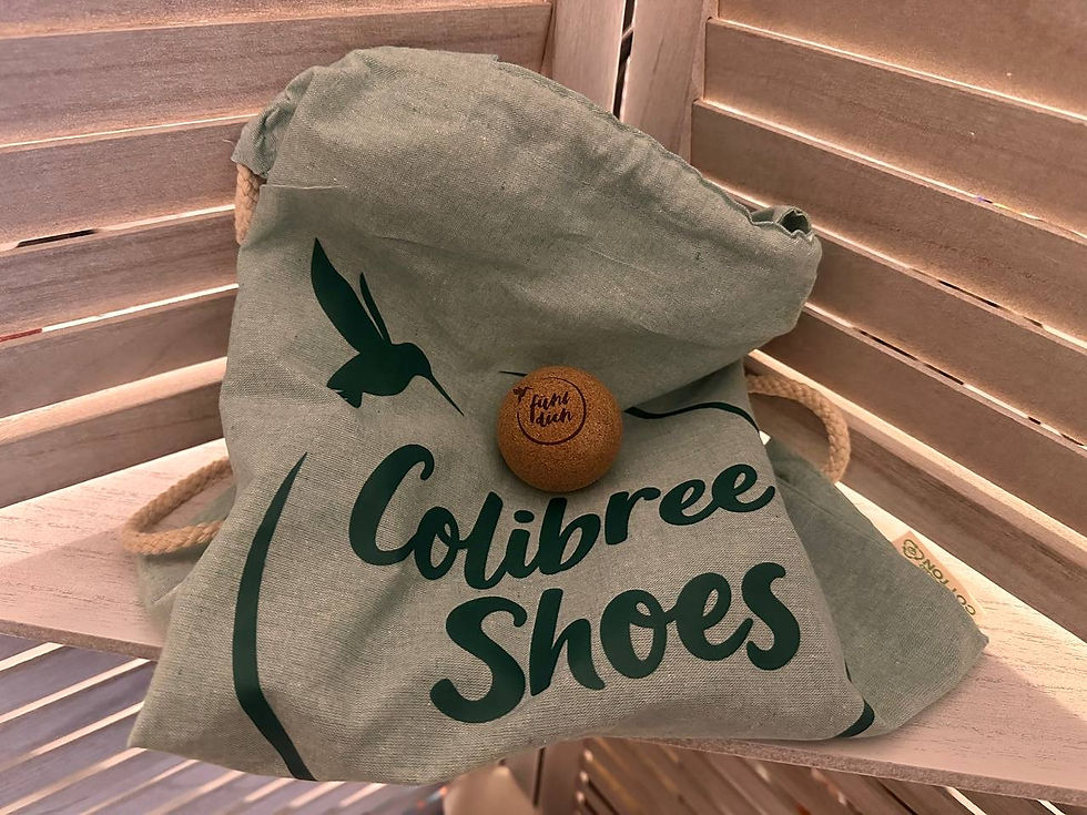 Begleiter Colibree Shoes