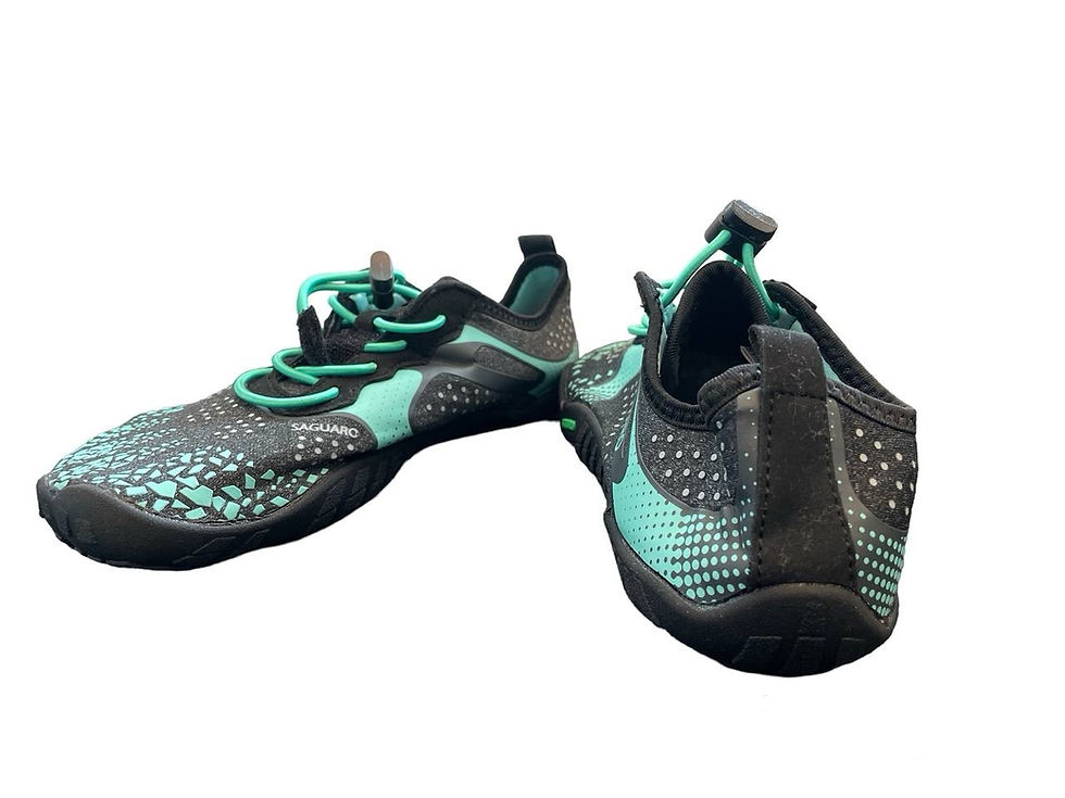 Miniaturbild: Fast - Saguaro