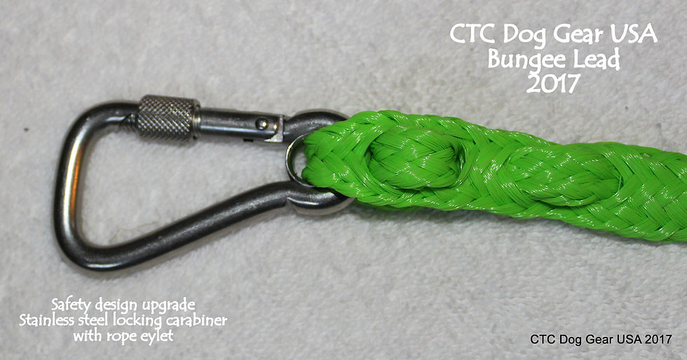 Thumbnail: CTC Dog Gear 1-dog Bungee Lead