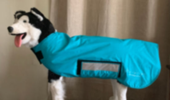 CTC Dog Coat