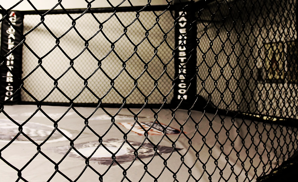 Cage 2