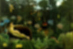 Henri_Rousseau_-_Il_sogno-1.jpg