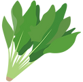 ほうれん草