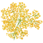 花イラスト02