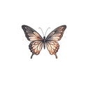 butterfly.png
