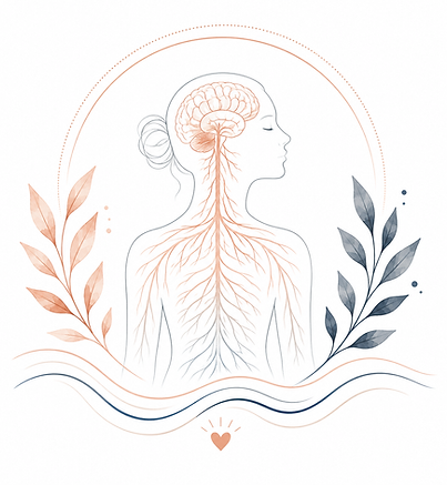 nervous system.png