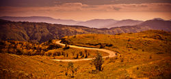 Darjeeling (India)