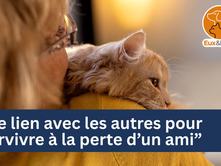 De la solitude au lien : le deuil partagé