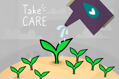 Hair Transplant Harmony: Comprehensive Post-Operative Care Guide After FUE