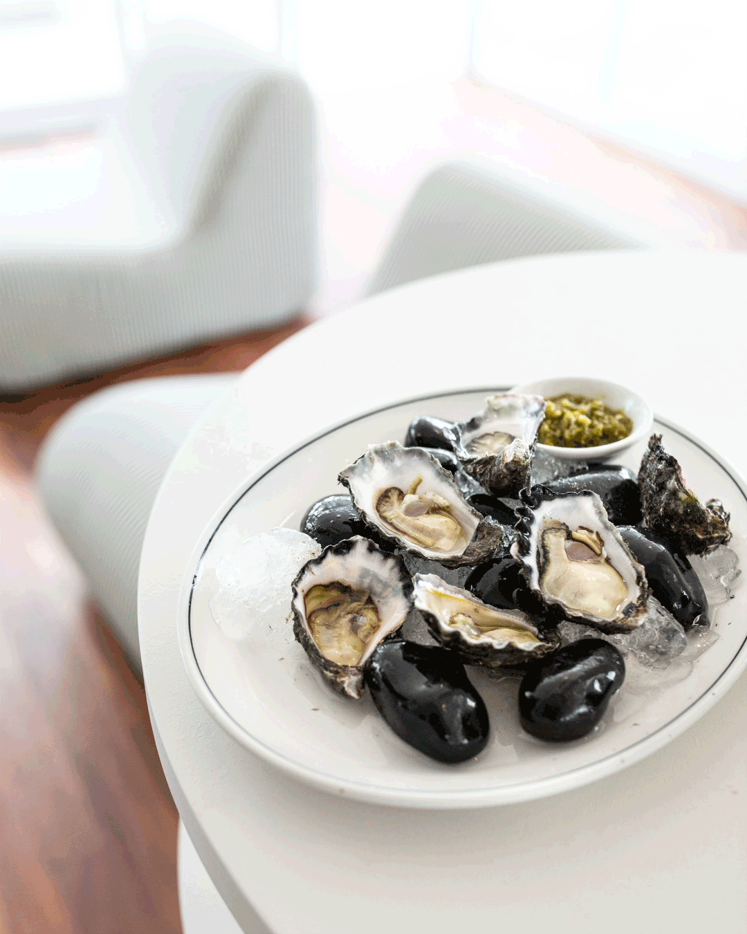 oyster.gif