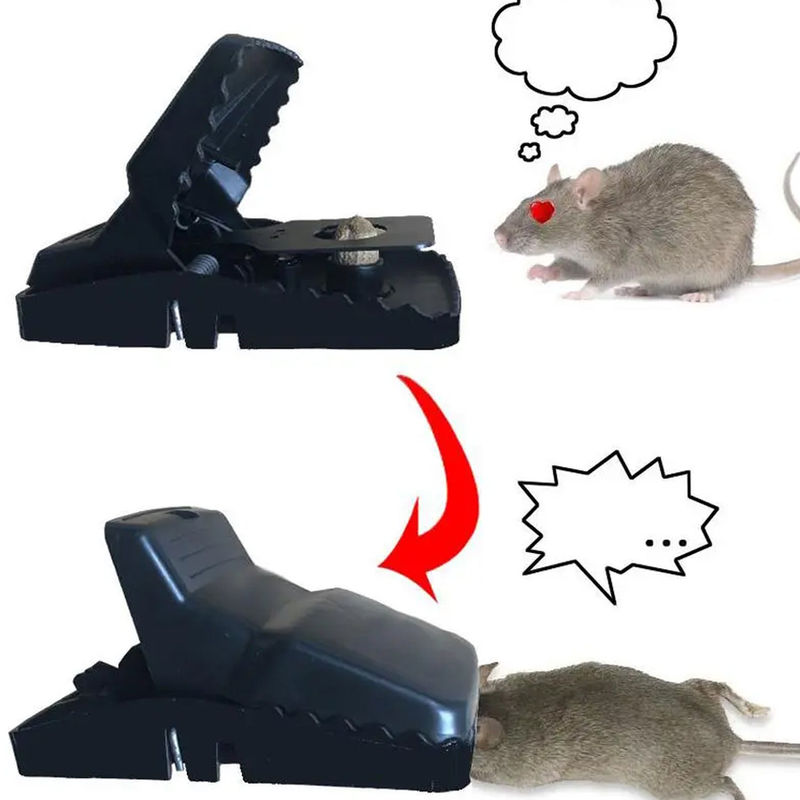 Mouse Trap Cage with Dummy Mouse – Reusable Pest Control