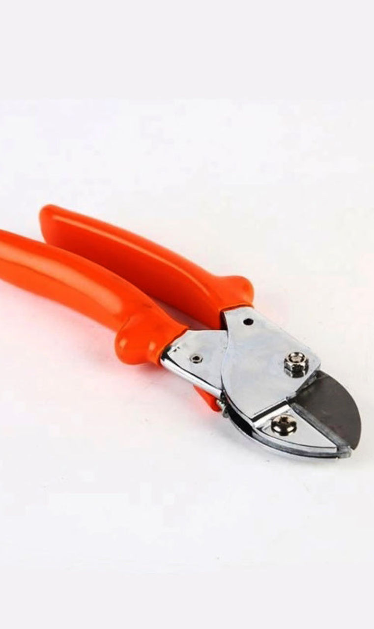 Professional Garden Scissor with Sharp Blade & Comfortable Handle