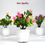 Thumbnail: Artificial Flower Pot Decoration Plant for Home & Office