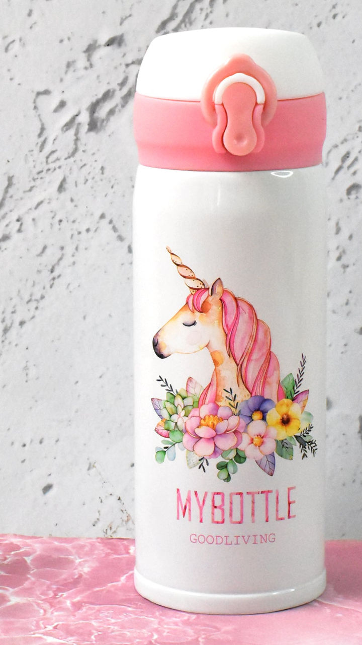 Stainless Steel Insulated Vacuum Water Bottle (350ml)