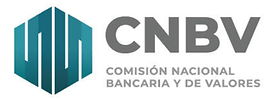 NUEVO LOGO CNBV.png