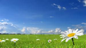 The New Vibration of Spring