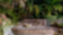MaSQ_BeresfordRd_BellevueHill_352_Guthrie_ScreenRes_edited.jpg