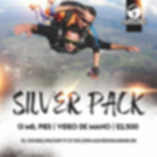 Silver 13k HC 2500.jpeg