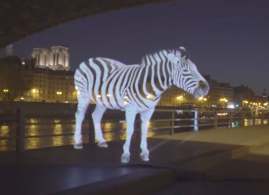 Des animaux dans la ville ... en hologramme
