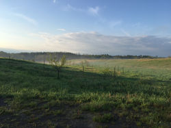View of the Fields