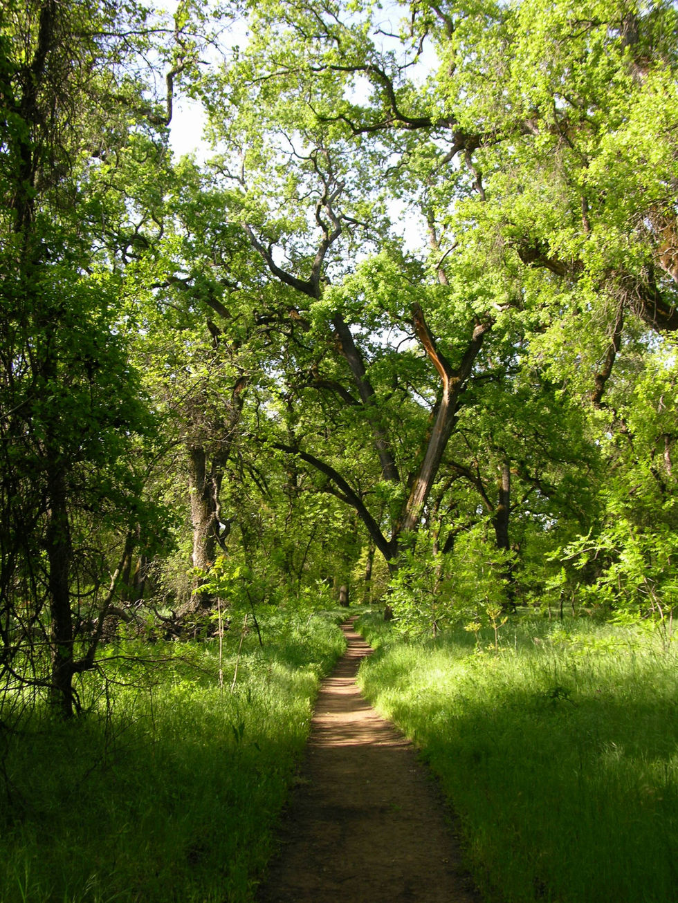 Beautiful park trail