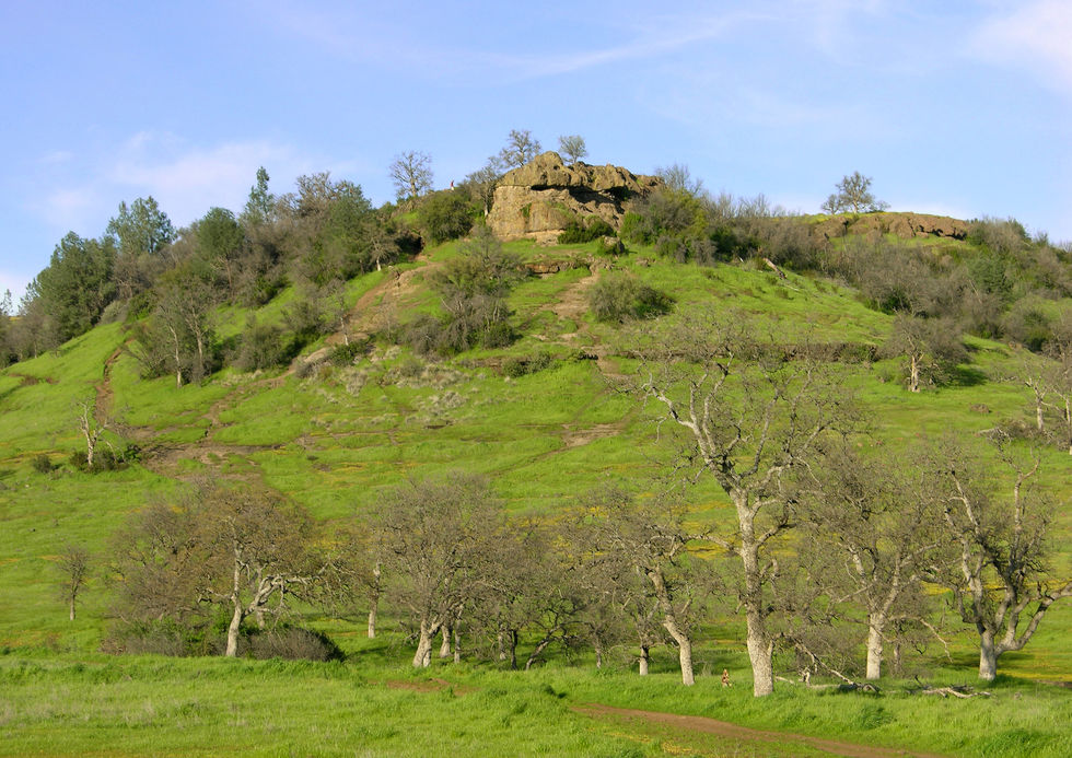 Monkey Face in Upper Bidwell Park