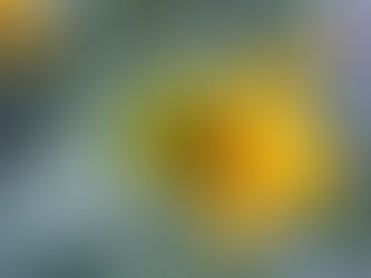 Seize Life's Moments