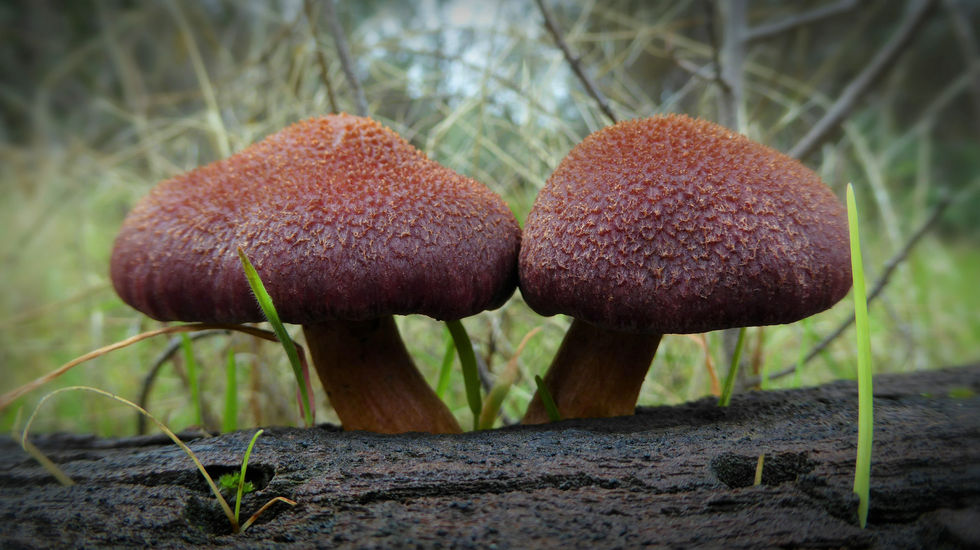 IMG_20230115_155706 (2)