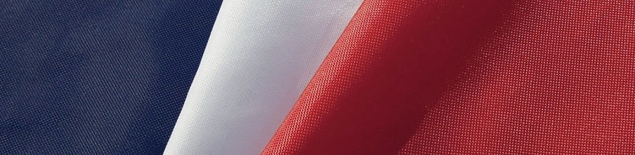 société de protection rapprochée à Paris-garde du corps professionnels-agents certifiés-Pa