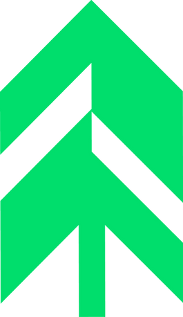 boreal tree
