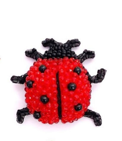 Miniatura: Ladybug