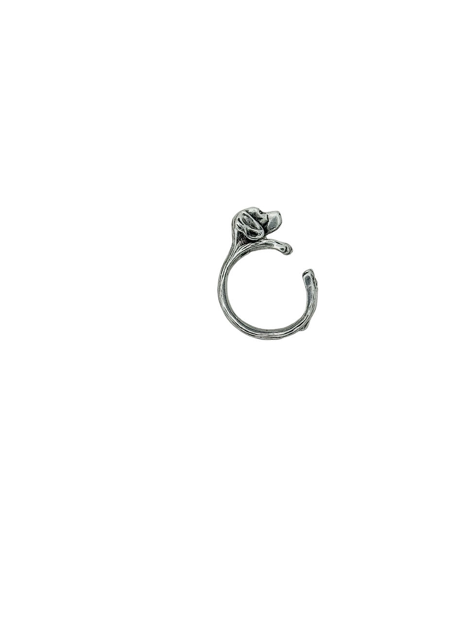 Thumbnail: Cocker spaniel ring