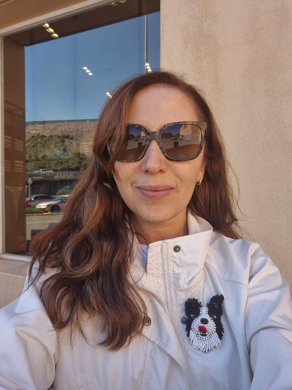 Miniatura: Border collie