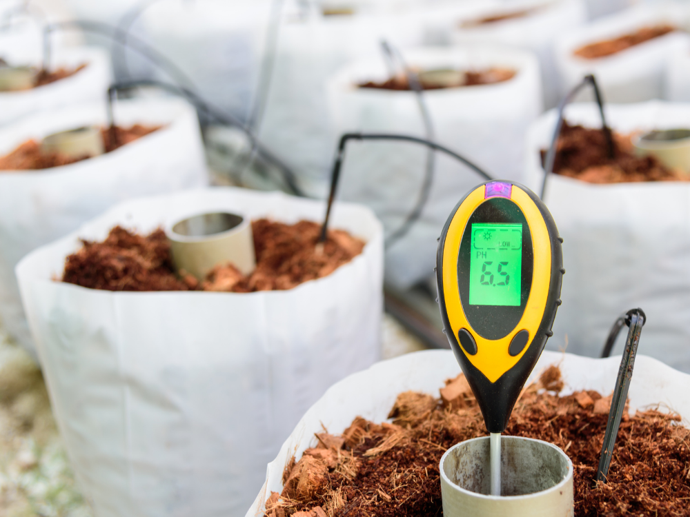 6 Benefits of Adding Organic Matter To Your Garden Soil