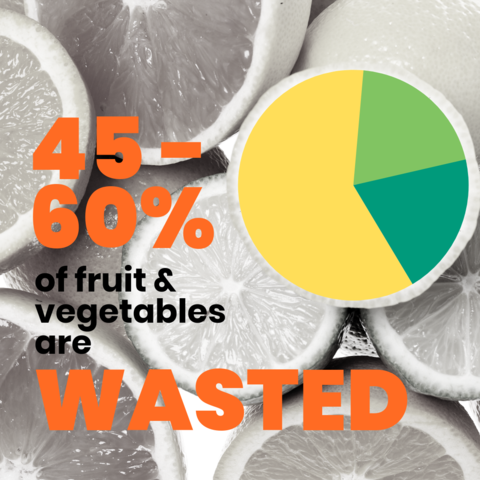 Burgerlary: An Overview of the Global Food Waste Epidemic