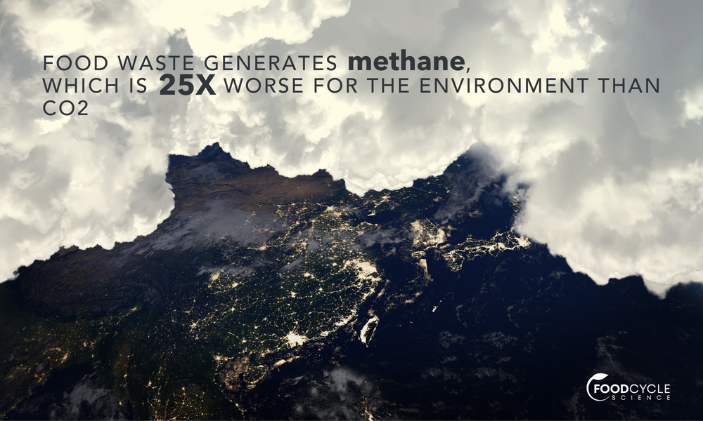 Could Food Waste Be Worse For the Environment Than Plastic?